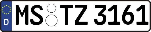 MS-TZ3161