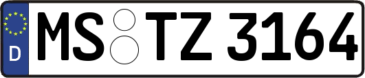 MS-TZ3164