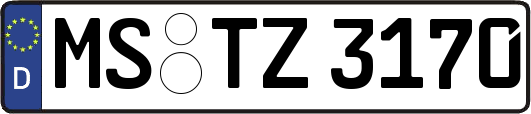 MS-TZ3170