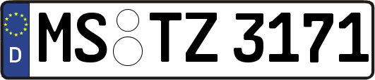 MS-TZ3171