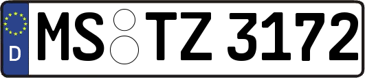 MS-TZ3172