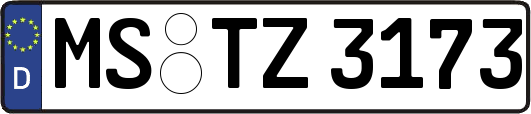 MS-TZ3173