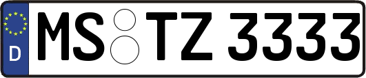 MS-TZ3333