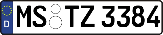 MS-TZ3384