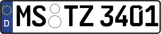 MS-TZ3401