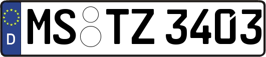 MS-TZ3403