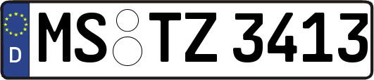 MS-TZ3413