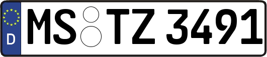 MS-TZ3491