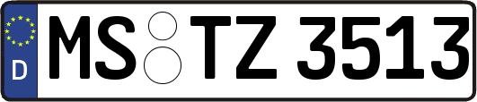 MS-TZ3513