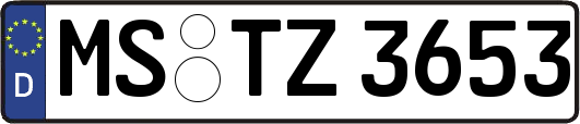 MS-TZ3653