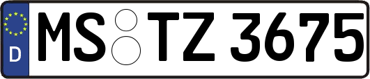 MS-TZ3675