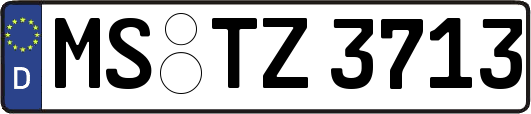 MS-TZ3713