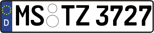 MS-TZ3727