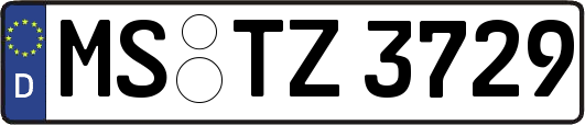 MS-TZ3729