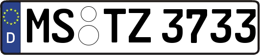 MS-TZ3733