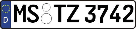MS-TZ3742