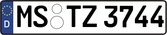 MS-TZ3744