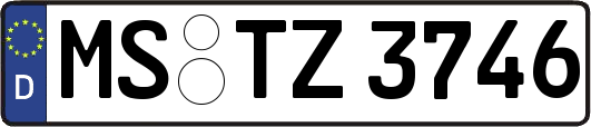 MS-TZ3746