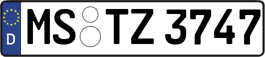 MS-TZ3747