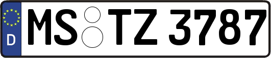 MS-TZ3787