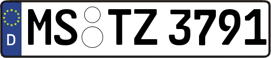 MS-TZ3791
