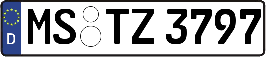 MS-TZ3797