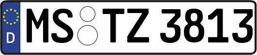 MS-TZ3813