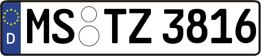MS-TZ3816