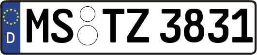 MS-TZ3831
