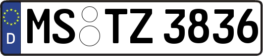 MS-TZ3836