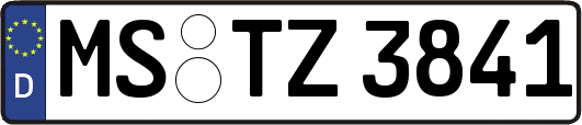 MS-TZ3841