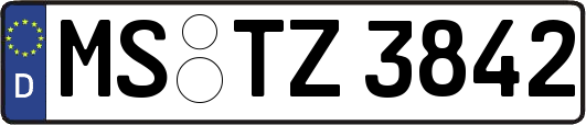 MS-TZ3842