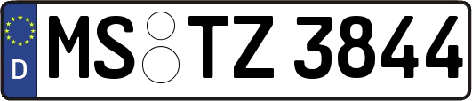 MS-TZ3844