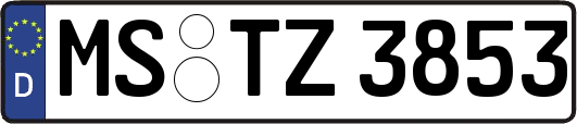 MS-TZ3853