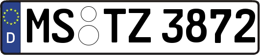 MS-TZ3872