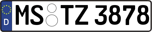 MS-TZ3878