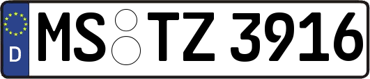 MS-TZ3916