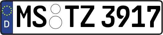 MS-TZ3917