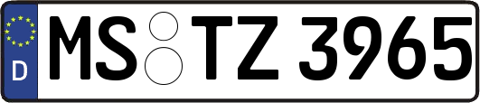 MS-TZ3965