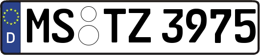 MS-TZ3975