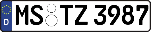 MS-TZ3987