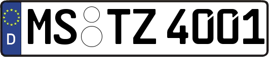 MS-TZ4001