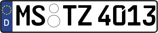 MS-TZ4013