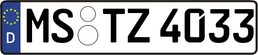 MS-TZ4033