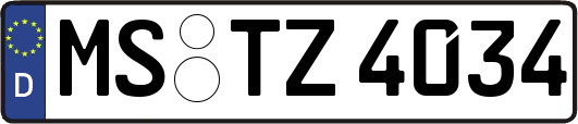 MS-TZ4034