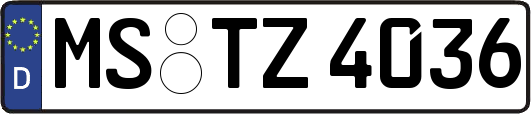 MS-TZ4036