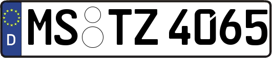 MS-TZ4065