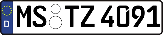 MS-TZ4091