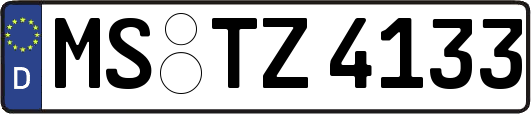 MS-TZ4133