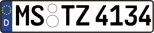 MS-TZ4134